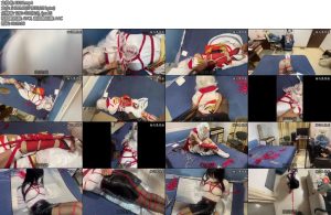 [桃花岛] COS系列第一弹CD南梁花花COS公孙离被尾随入室绑架上集-丝依依