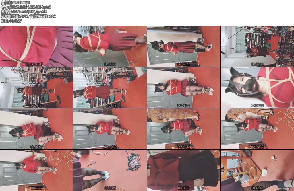 [束之高阁] 捆绑囚禁母狗-丝依依