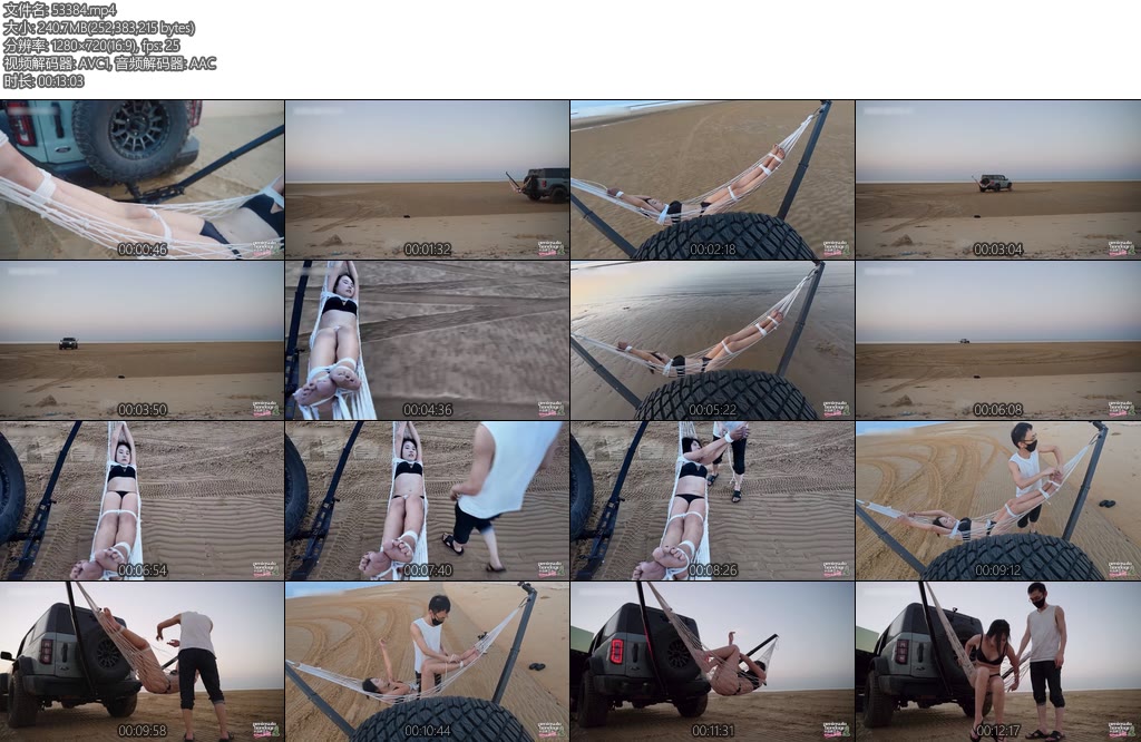 [半岛束艺] 佟司强力甩干-丝依依