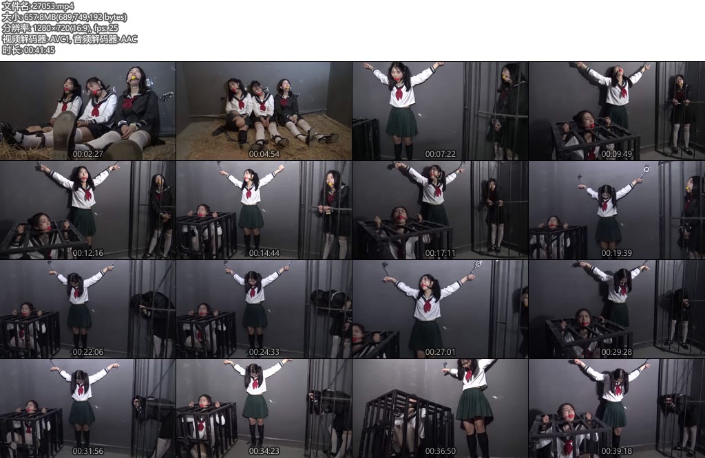 [胜景影视] 女少年犯第二部（下集）三个少女走上犯罪道路不听话就被关在笼子里-丝依依
