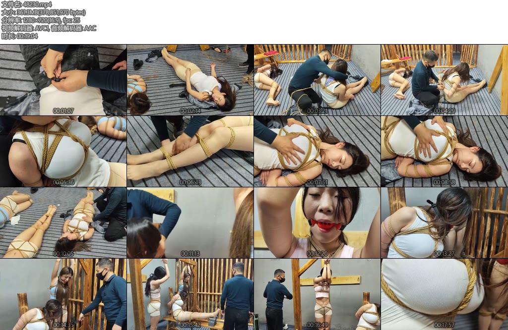 [李大侠] 踏青历险记第二集-丝依依