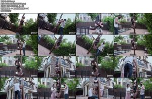 [半岛束艺] 绞刑架下的报告（上）~海语-丝依依