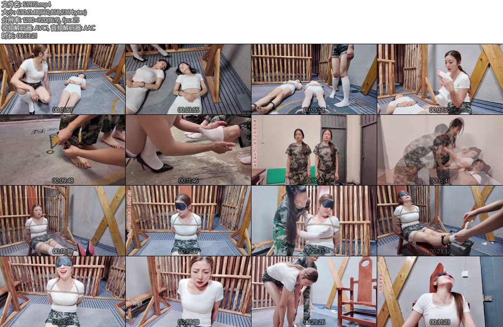 [李大侠] 内部审查特别考验三-丝依依