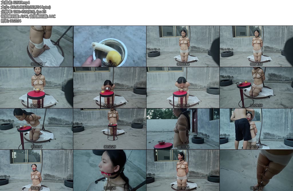 [王宁原创] 慧慧被饲养的日常记录-丝依依