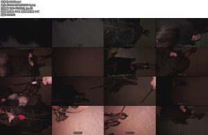 [薏酱原创] 可爱小萝莉户外sp牵引调教-丝依依