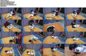 [飞天原创] 18岁小女生晓琳儿带着大姨妈体验日式驷马又腥又刺激-丝依依