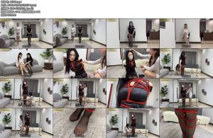 [金宝原创] 面试之争-丝依依