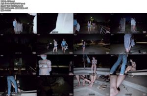 [半岛束艺] 缇娜佟镜跟波雅一起外出的可预见性后果下-丝依依