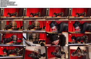 [路由原创] 考拉式柱缚痛苦鼻钩-丝依依