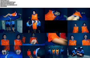 [胜景影视] 知法犯法之空姐落难第二集女执法官执法犯法被逮捕和毒贩空姐一起被判死刑砸死镣-丝依依