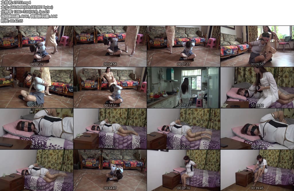 [胜景影视] 卧底女井历险记（第二集）-丝依依