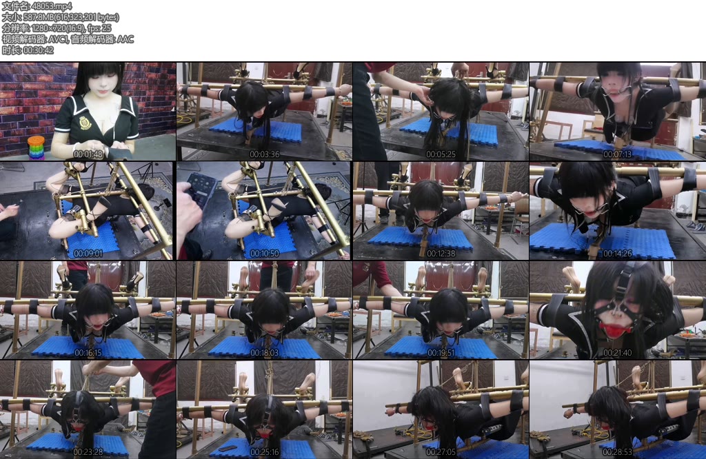 [飞天原创] 曼妮狗爬式悬空禁锢郊狼电击y塞调到260的时候瞬间潮喷失禁彻底地玩爽啦-丝依依