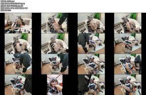 [亚洲绳艺] 职业胸手塔露拉在罗德岛的审讯视频流出-丝依依