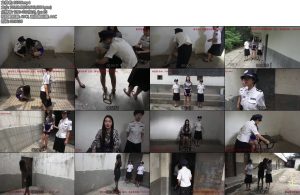 [梨花雨] 暮秋泪自-丝依依