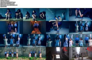 [胜景影视] 红颜殇下集几名女毒枭全部落网押入刑场执行枪决-丝依依