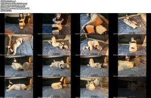 [绳次元] TK！全包！堵嘴，勒嘴！-丝依依