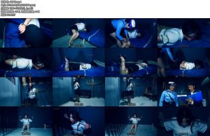 [胜景影视] 掉入魔窟的女白领下集公司女白领结果老板收买了检察院人员把女白领判处终身监禁一级禁锢着-丝依依