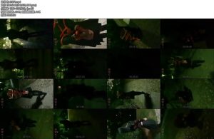 [一只萌熊] 捆绑外出电击-丝依依