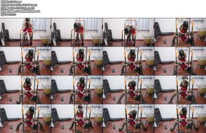 [日记原创] 新架子固定尝试 棒子强高 固定 圣诞装-丝依依