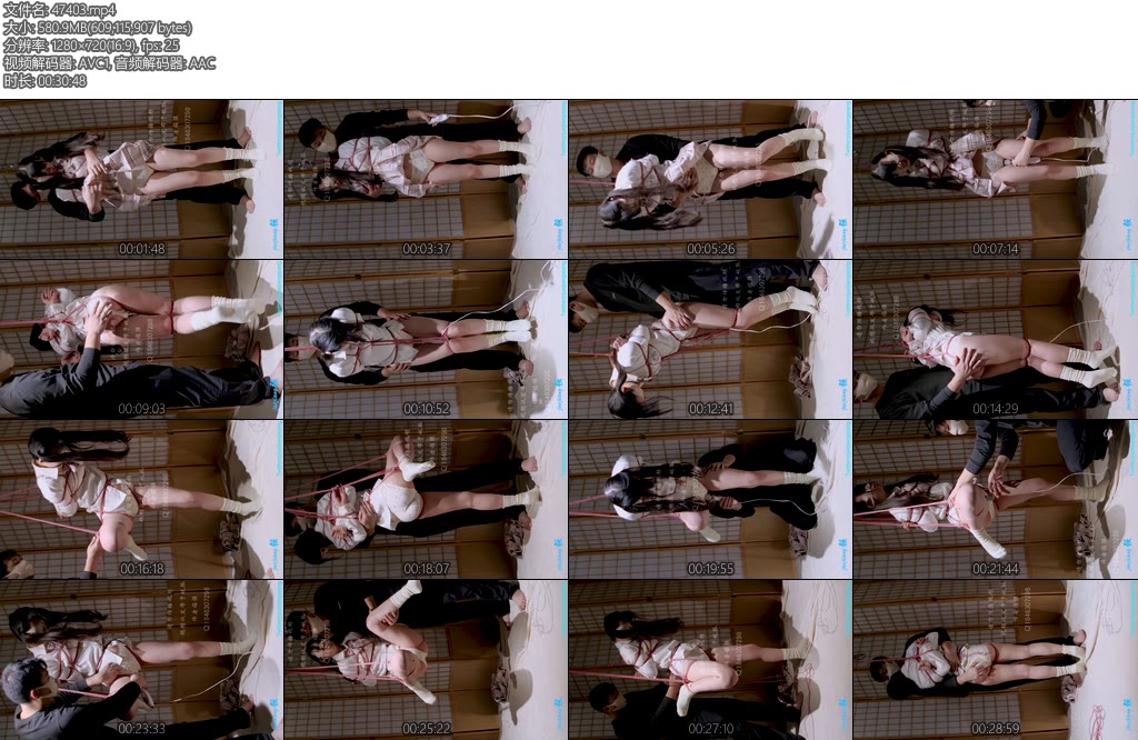 [小羽原创] 倔强 小羊吊缚强震贴贴-丝依依