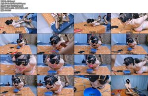 [飞天原创] 把柔仙儿K9架禁锢老铁远程电击y塞控制6只口球和10公分y具口球轮流测式-丝依依