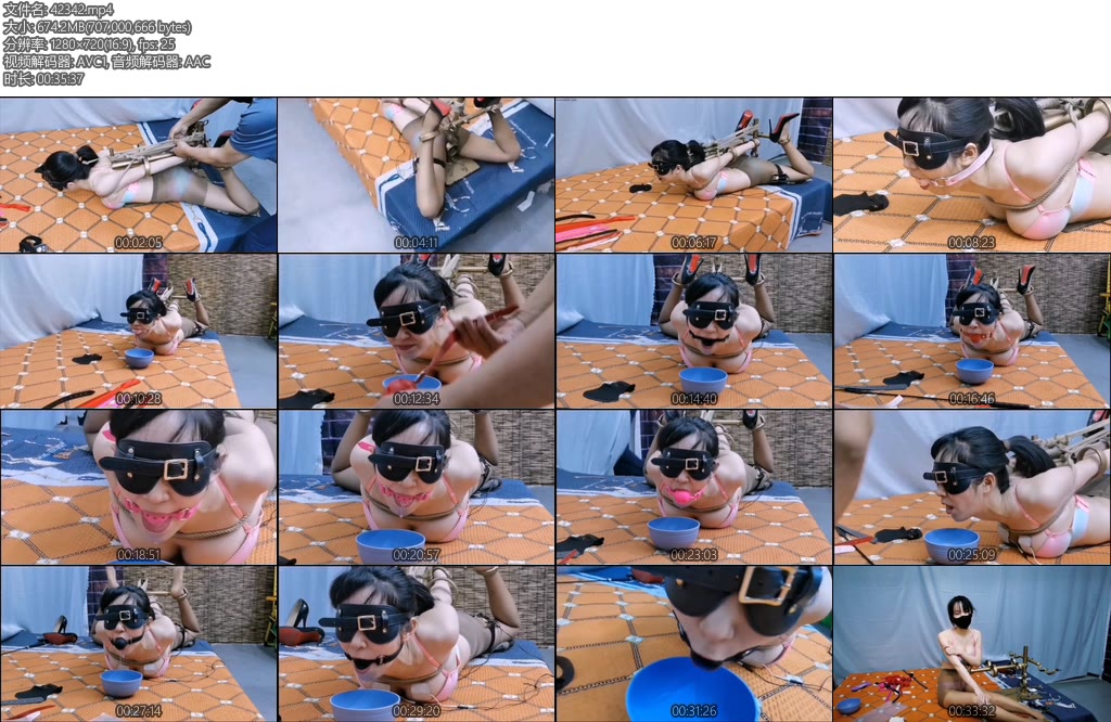 [飞天原创] 把柔仙儿K9架禁锢老铁远程电击y塞控制6只口球和10公分y具口球轮流测式-丝依依