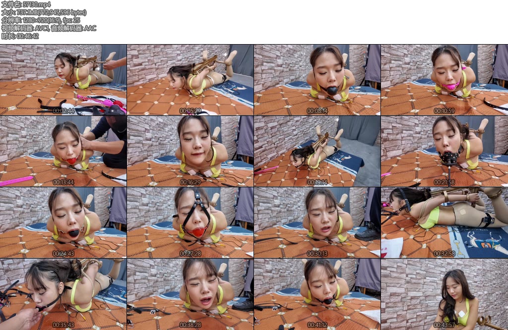 [飞天原创] 驴驴K9架多种口球电击棒棒啵啵贝体验最后讲亲身感受-丝依依