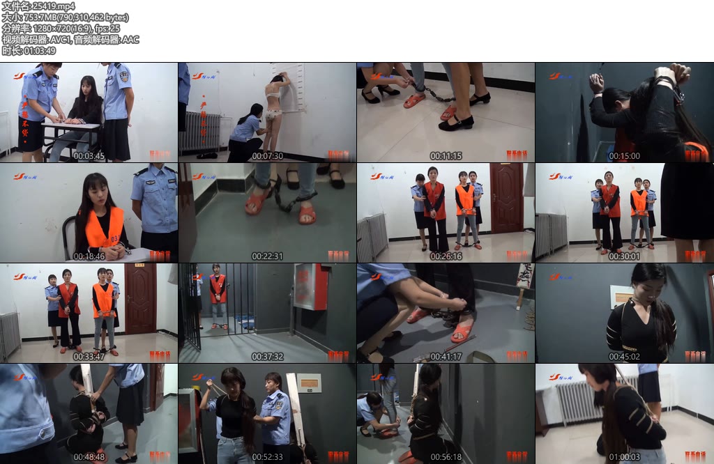 [新雅俗阁] 2022大片 严惩不贷-丝依依