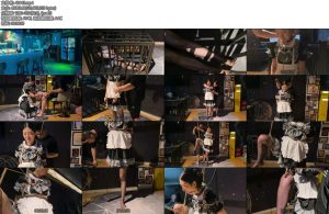 [纵横四海] 王玉欲望保姆-丝依依