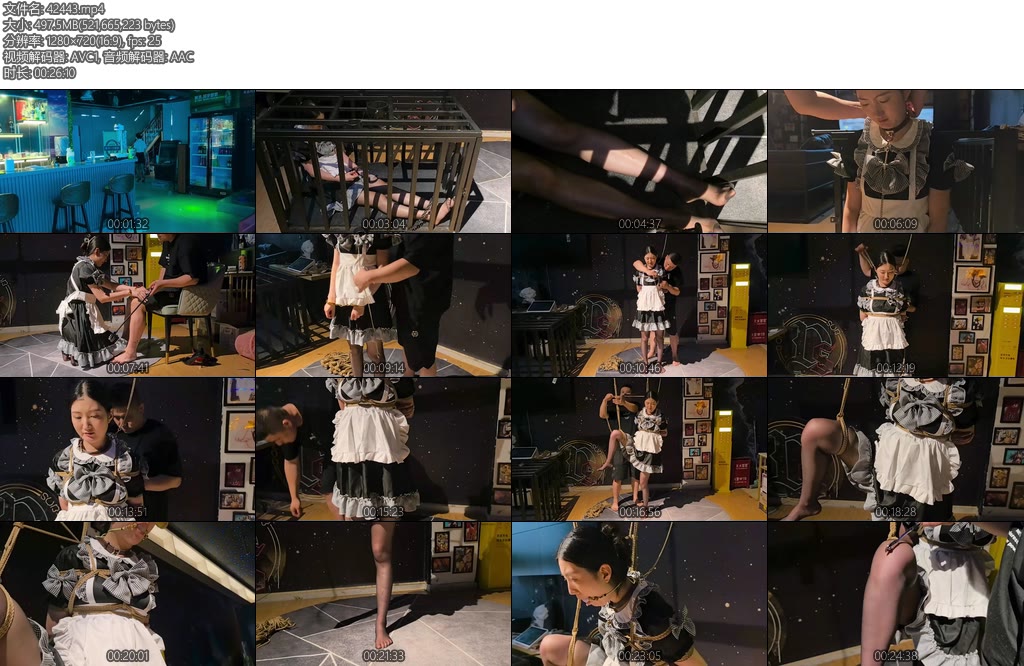 [纵横四海] 王玉欲望保姆-丝依依