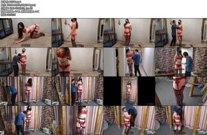 [随心原创] 杨蕊性感红内衣站立摩擦的杠子迷离的眼神越来越有韵味-丝依依