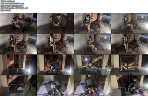 [欢乐谷] 跟踪绑架之迷晕至废弃屋4小时深度调教完整版 车库惊魂-丝依依