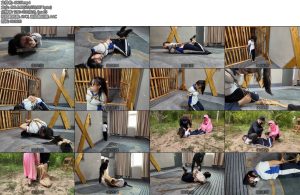 [李大侠] 小遥的故事续集-丝依依