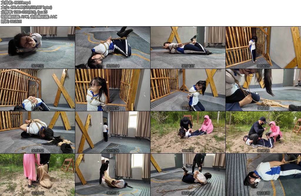 [李大侠] 小遥的故事续集-丝依依