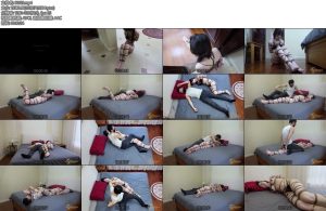 [半岛束艺] 流星缚仇者下-丝依依