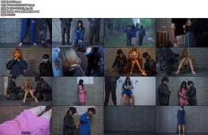 [结绳而治] 女犯系列五部曲-丝依依