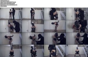 [真核生物] 第二部戴着头套的兔女郎黑丝高跟漆皮手套单手套锁链悬吊-丝依依