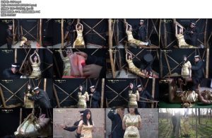 [一绳有你] 烈女本色漂亮小姐路上遭二鬼子盘查搜身关押刑房老虎凳鞭打痒刑双蜡烛烧烫驷马悬吊小树林枪决-丝依依