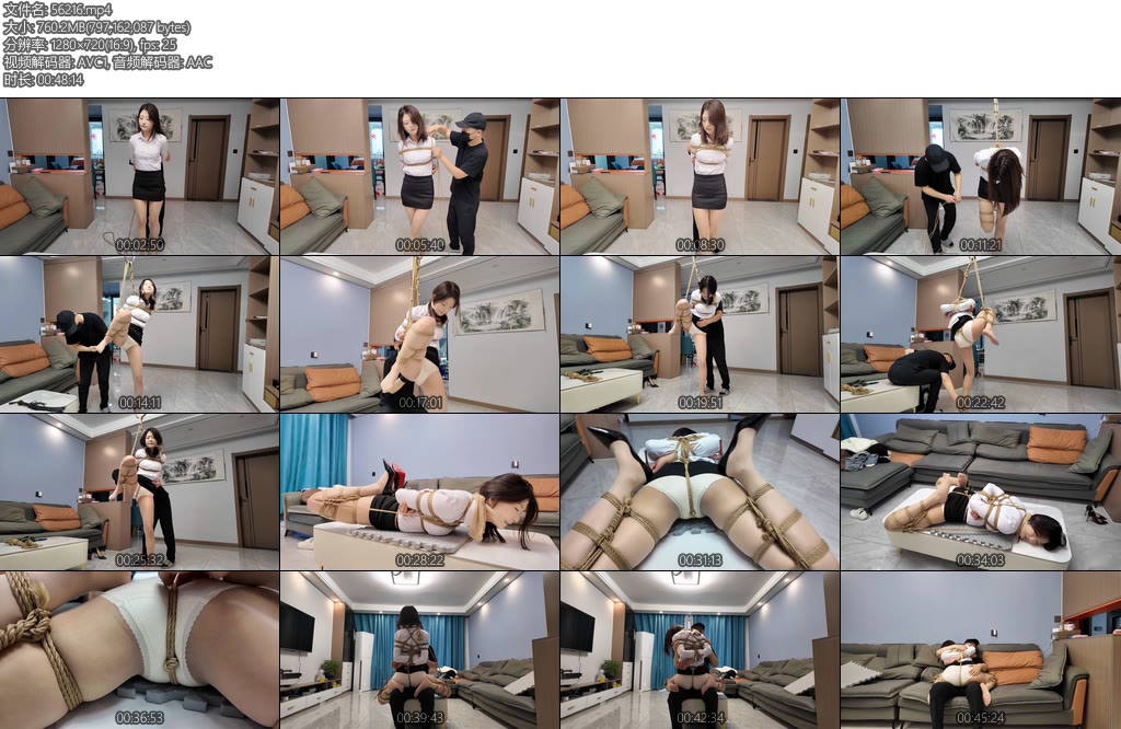 [李大侠] 晓琴驷马-丝依依