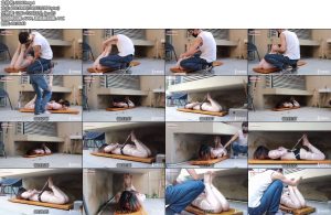 [半岛束艺] 墙外人来人往，墙内五花驷马~鹿野-丝依依