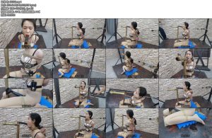 [飞天原创] 远程电击艺仙儿自动深候机强制G潮-丝依依