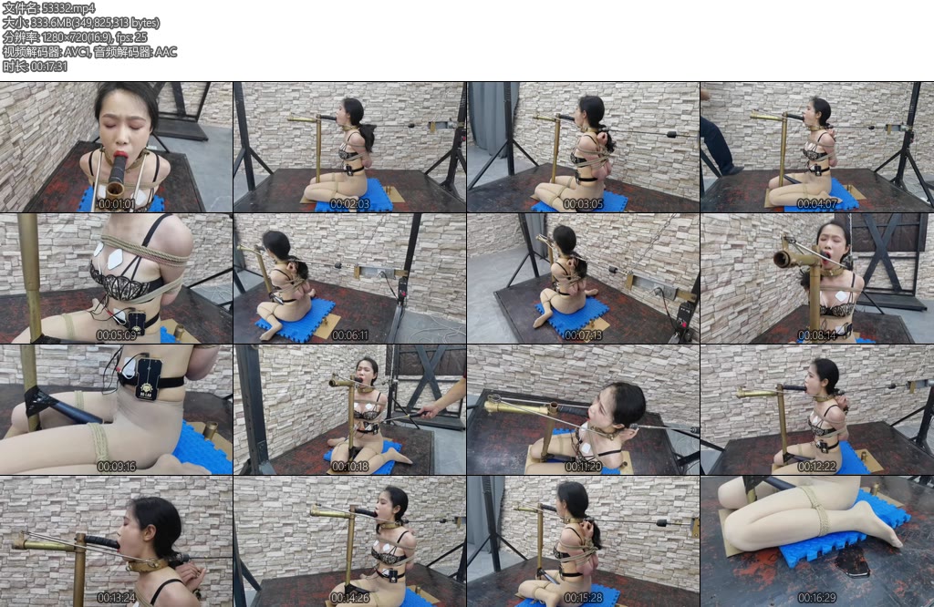 [飞天原创] 远程电击艺仙儿自动深候机强制G潮-丝依依