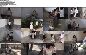 [梨花雨] 飞扬跋扈-丝依依