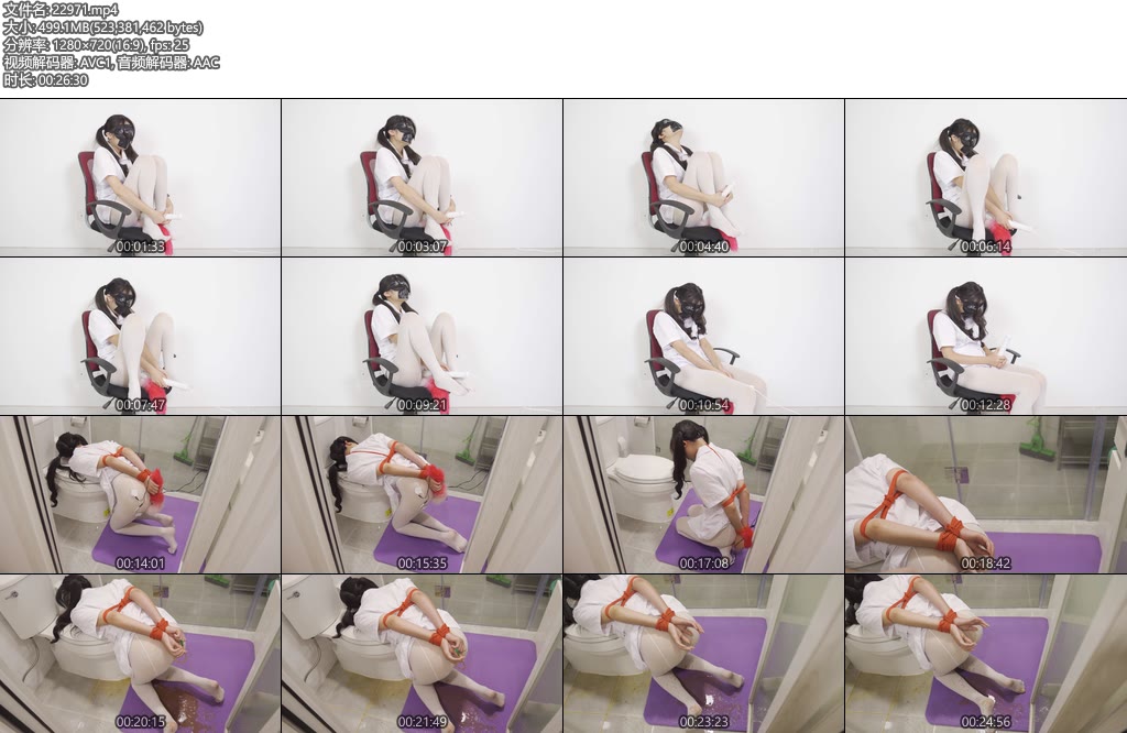 [日记原创] 电击捆绑灌肠刚塞狐狸尾-丝依依