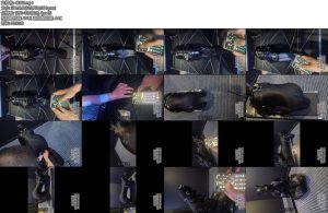 [白启原创] UU桑首次体验郊狼-丝依依