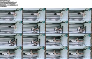 [安妮原创] 黑暗酷刑暗黑三角架固定姿势-丝依依