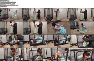 [随心原创] 雅熙 跳舞的民国少女 笼中禁锢-丝依依