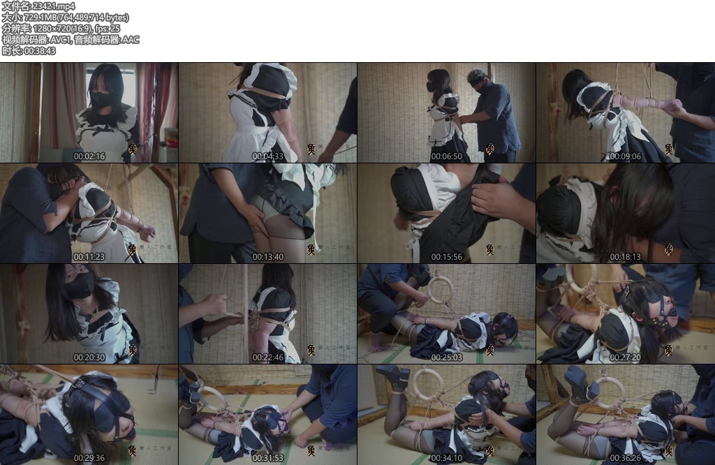 [象人原创] 小o黑丝女仆，直臂固定，驷马放置-丝依依