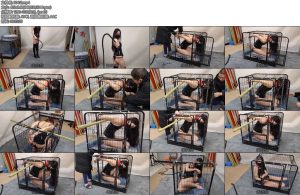 [随心原创] 杨蕊桀骜不驯的女王笼子驯化-丝依依