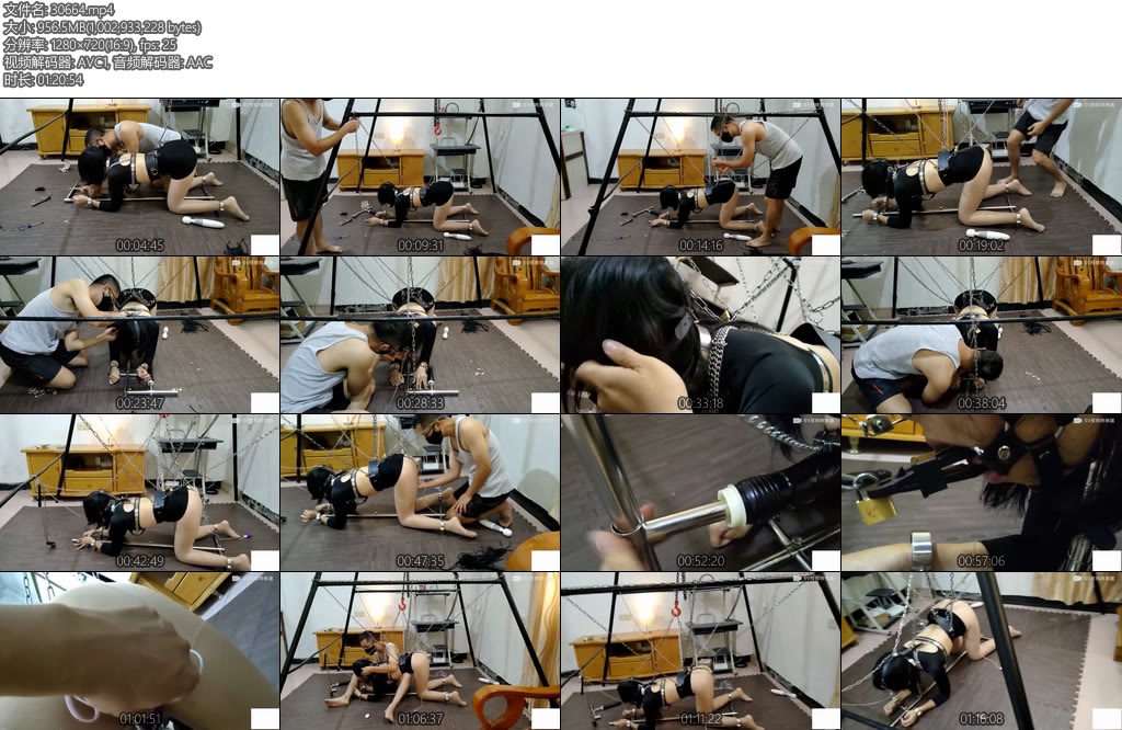 [浅浅原创] k9架 贞操带 G钩 鼻夹舌夹 来自四面八方的铁链-丝依依